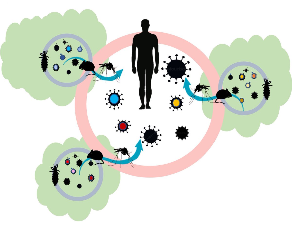 ON NOTIFIABLE DISEASES ALBURO LAW OFFICES