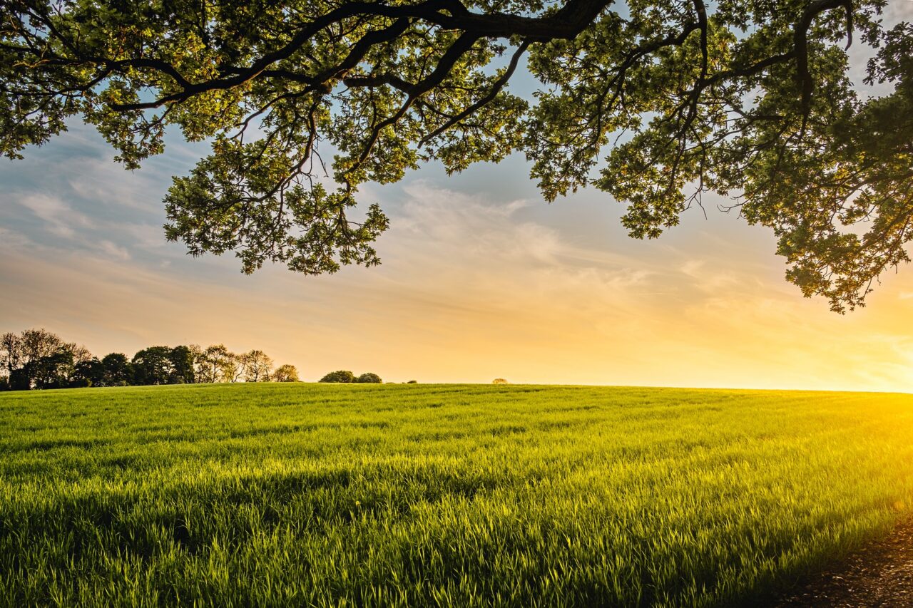 What is Agri-Agra Reform Credit Act of 2009?