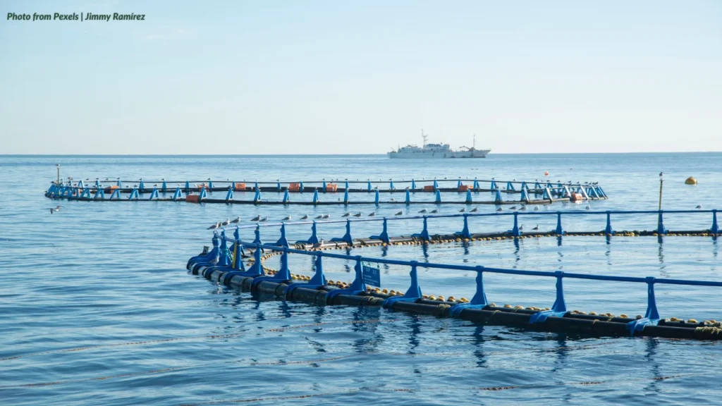 On Commercial Fisheries