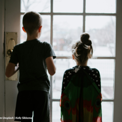 HEREDITARY RIGHTS OF COLLATERAL RELATIVES