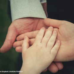 MAY THE STATE INHERIT FROM ITS CITIZENS?