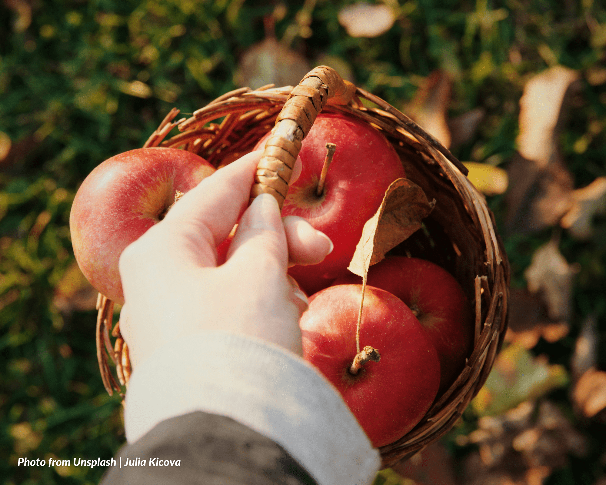 RIGHTS OF A USUFRUCTUARY