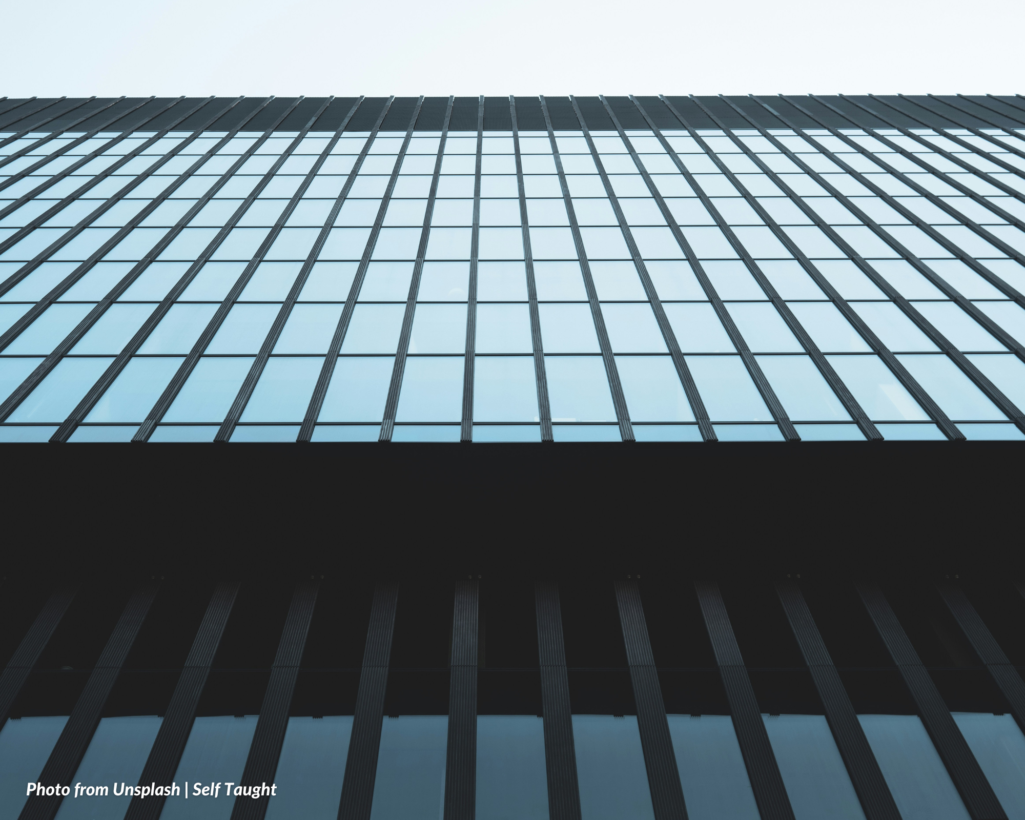 Distribution of Assets in Nonstock Corporation Undergoing the Process of Dissolution
