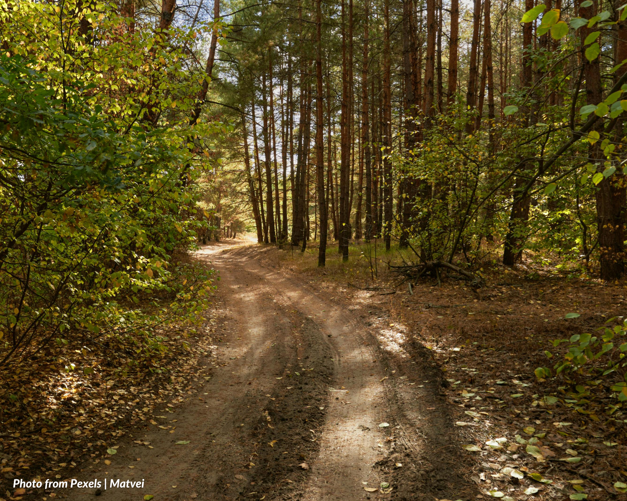 CAUSES FOR EXTINGUISHMENT OF THE EASEMENT OF RIGHT OF WAY