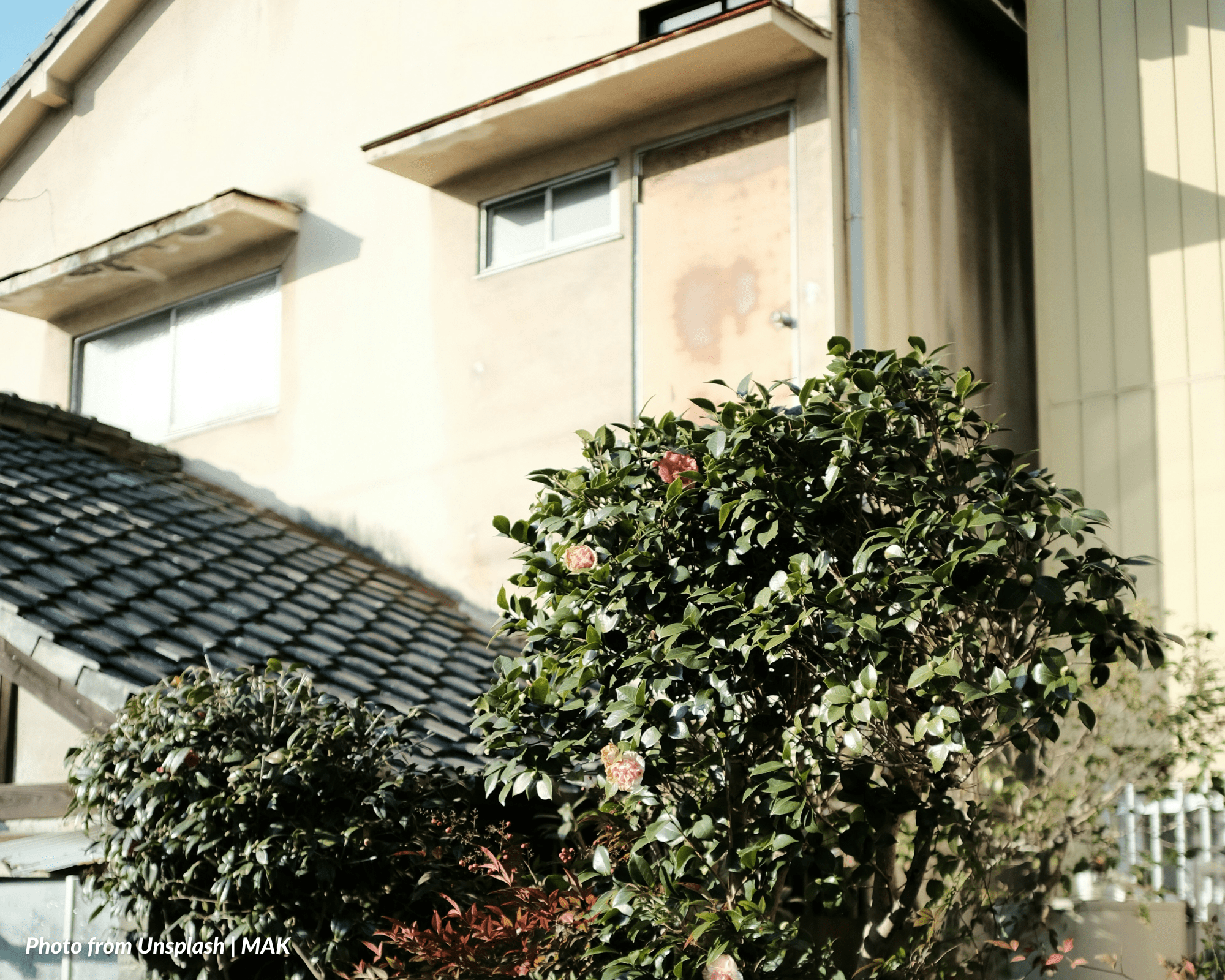 EASEMENT OF PARTY WALL