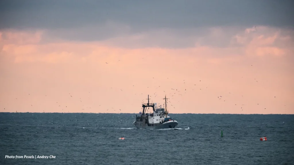 Incentives For Commercial Fishers