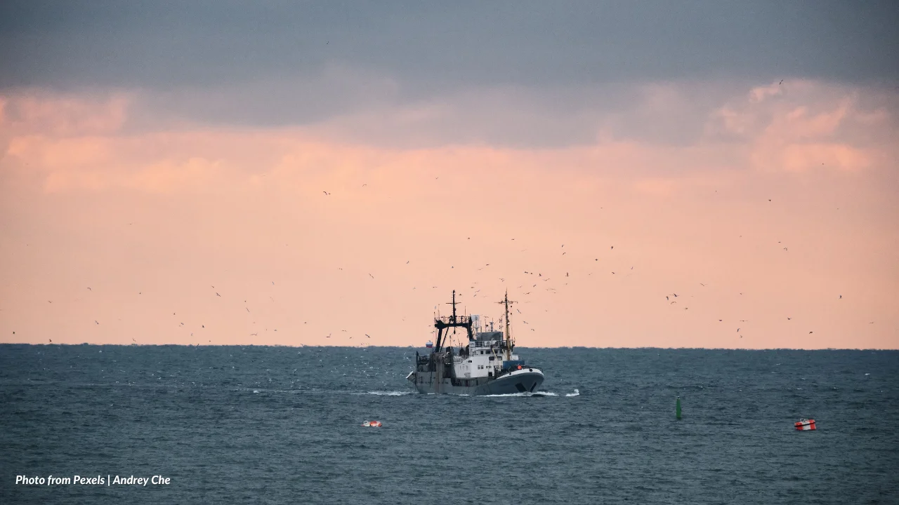 Incentives For Commercial Fishers