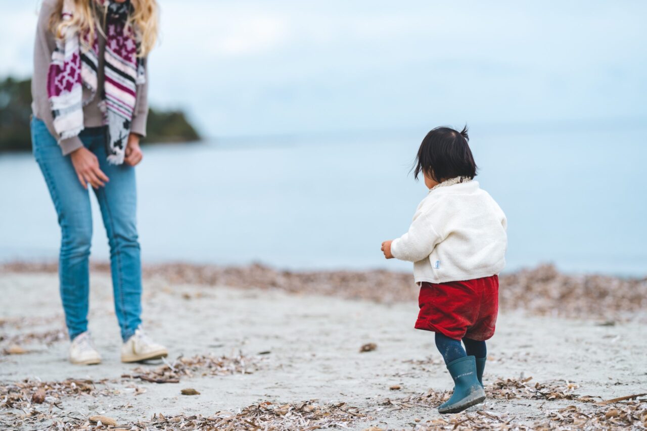 Hereditary Rights of an Adopted Child