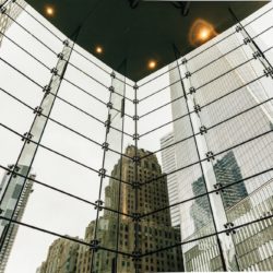 What is the Difference Between a Stock and a Non-stock Corporation?