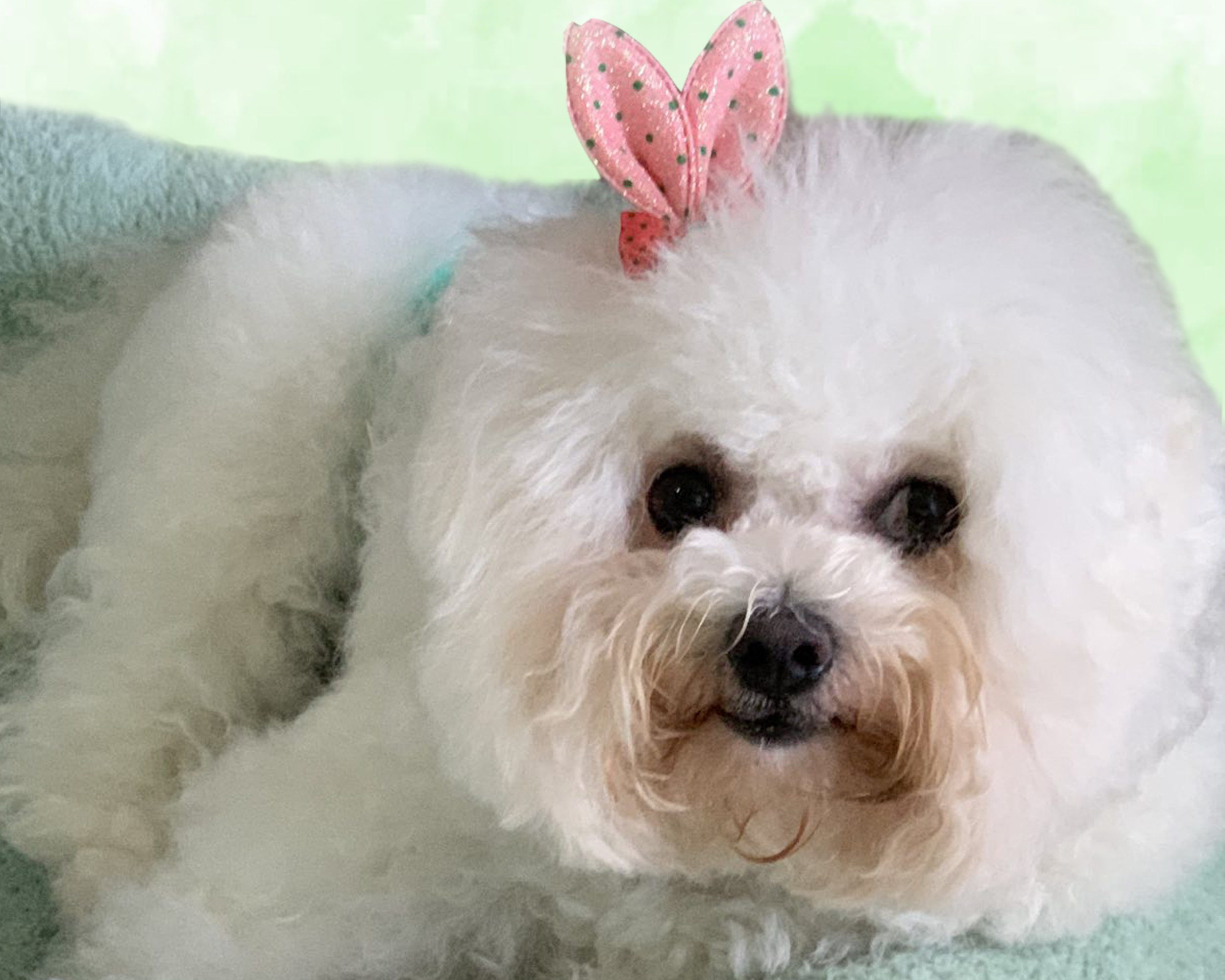 October 04 is National Kindness to Animals Day