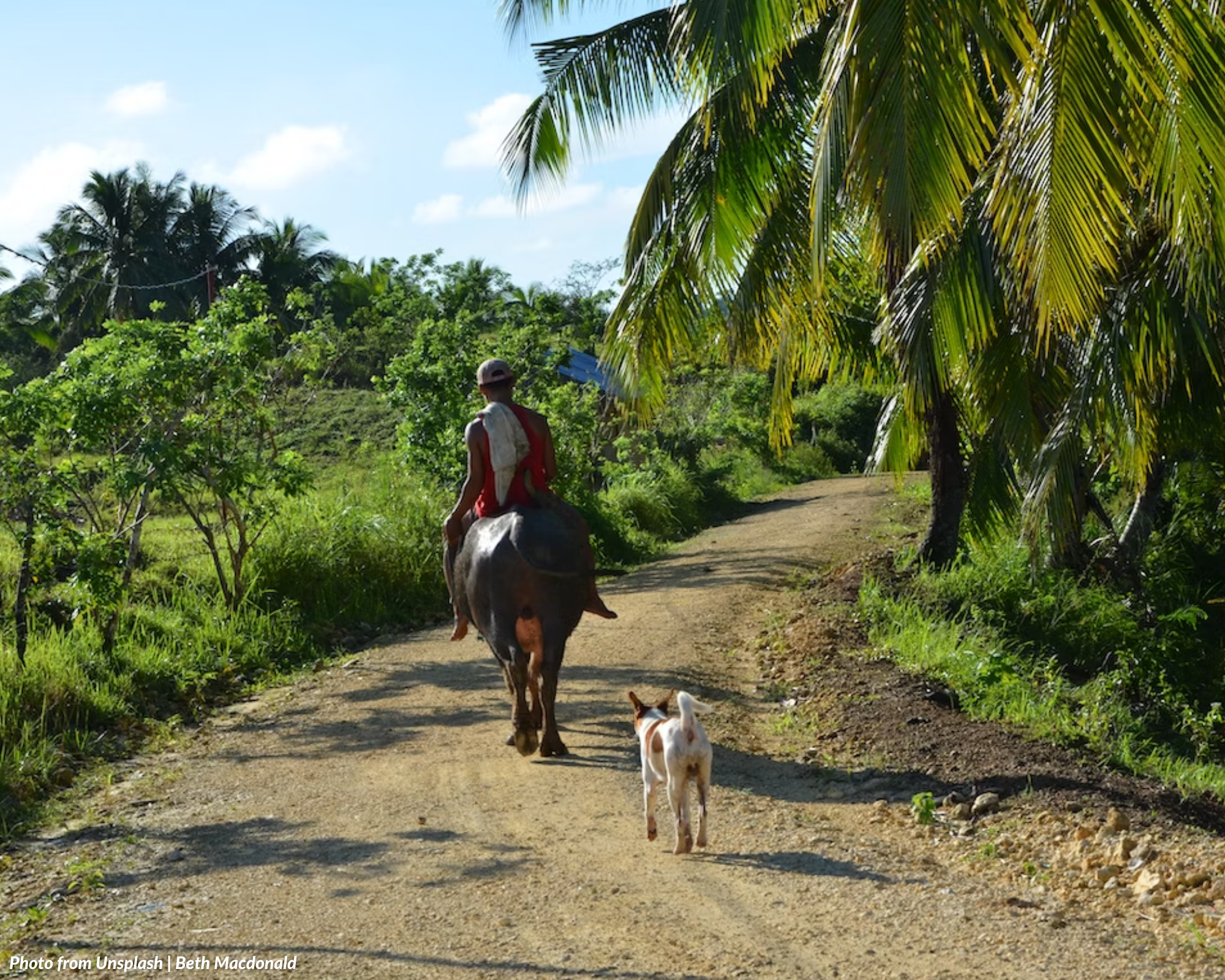 PhilHealth Coverage for Indigenous People