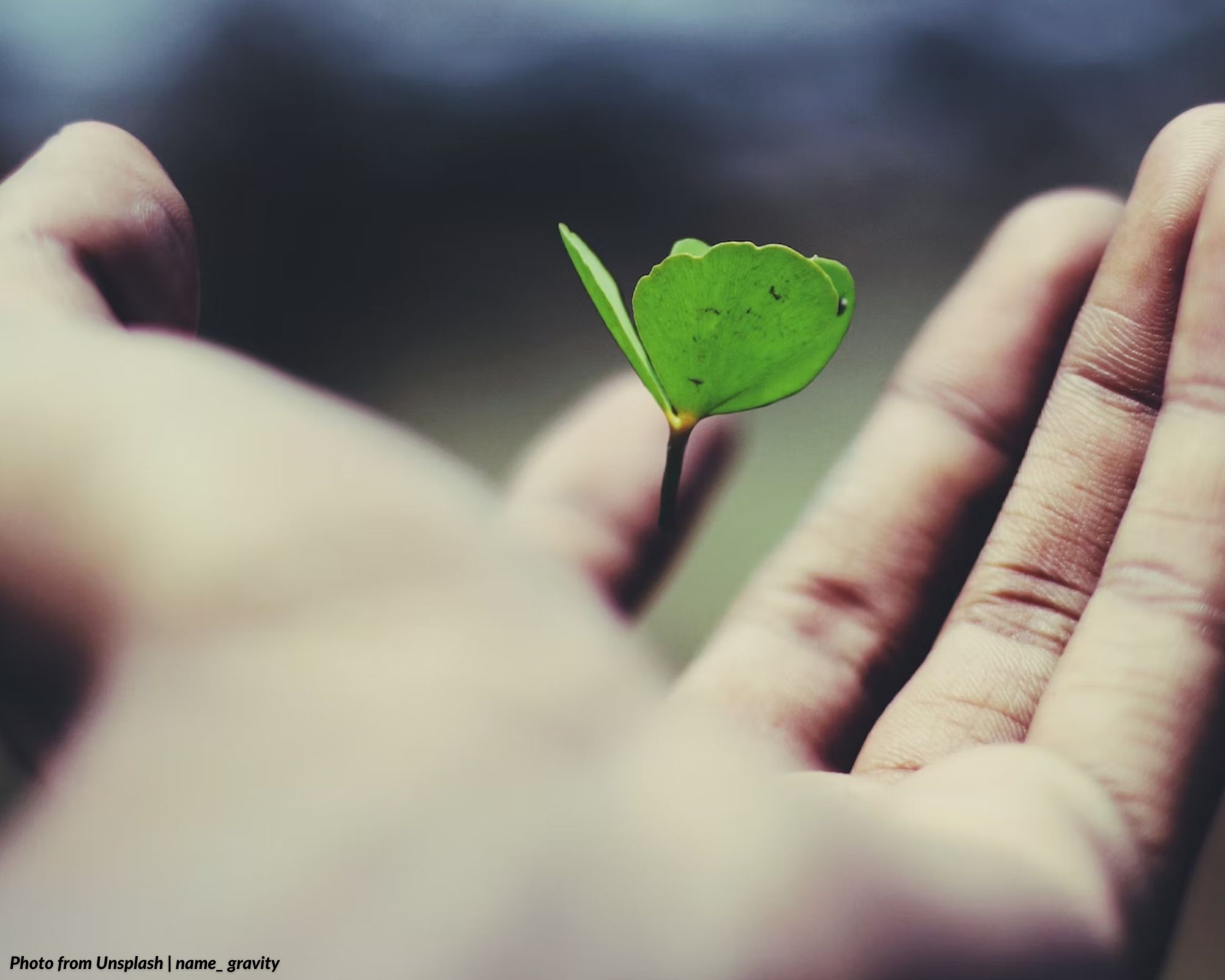 Life Insurance Consciousness Week