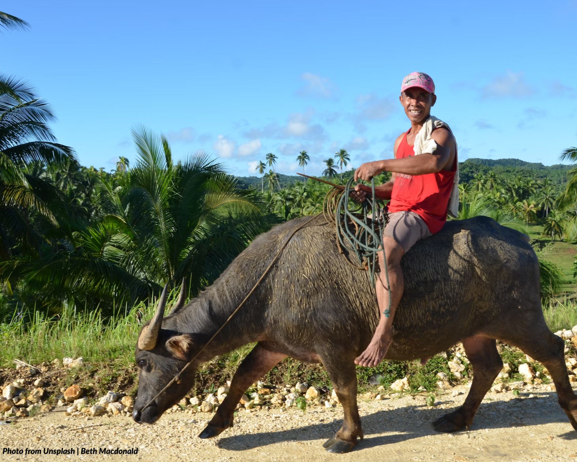 Barrio Farmers’ Week (Proclamation No. 76, Series of 1954)