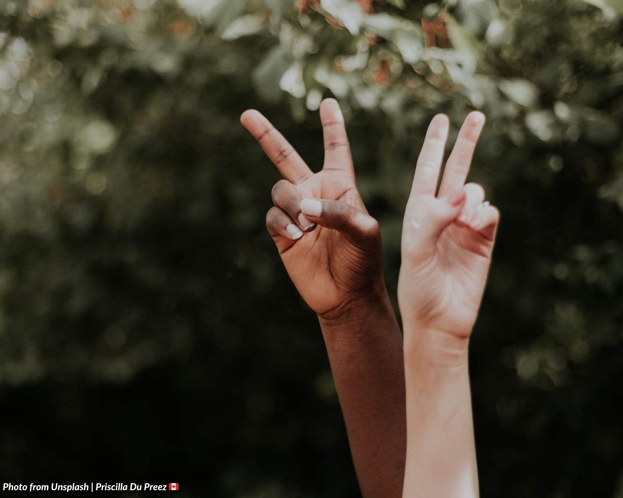 Human Rights Consciousness Week (Republic Act No. 9201)
