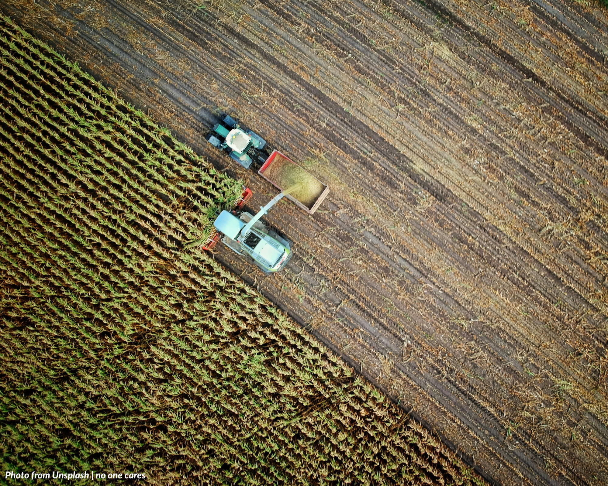THE SUPREME COURT SAYS: Farmworkers generally fall under the definition of regular seasonal employees.