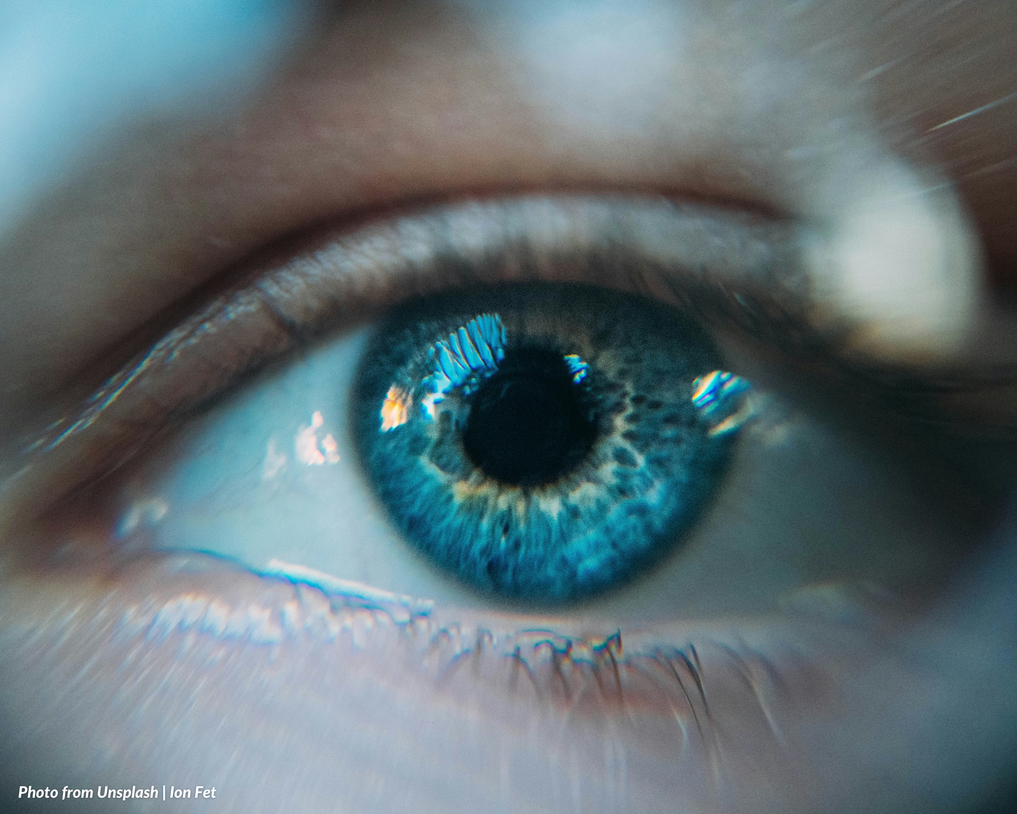 Sight Conservation Week
