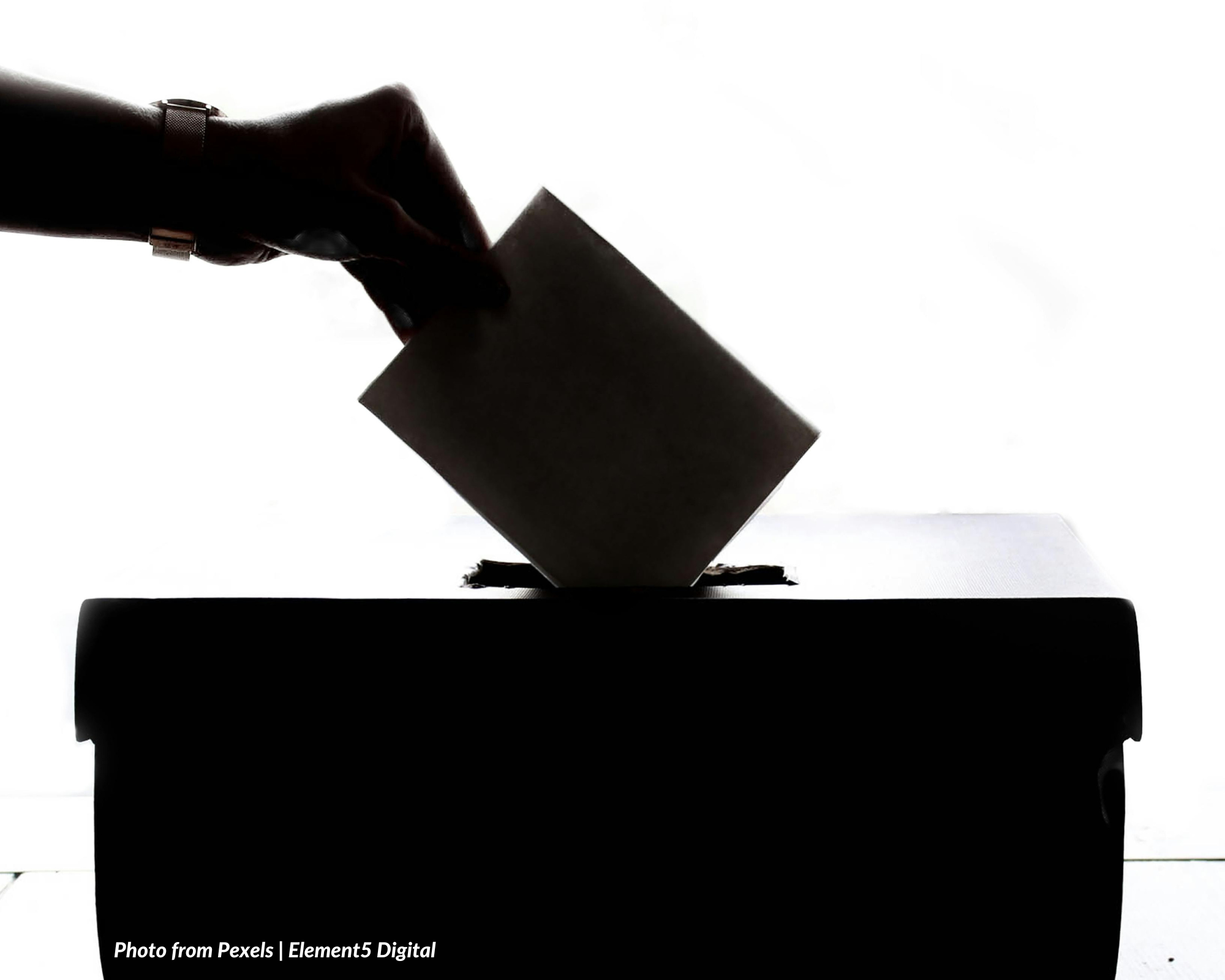 Are votes for nuisance candidates considered as stray votes?