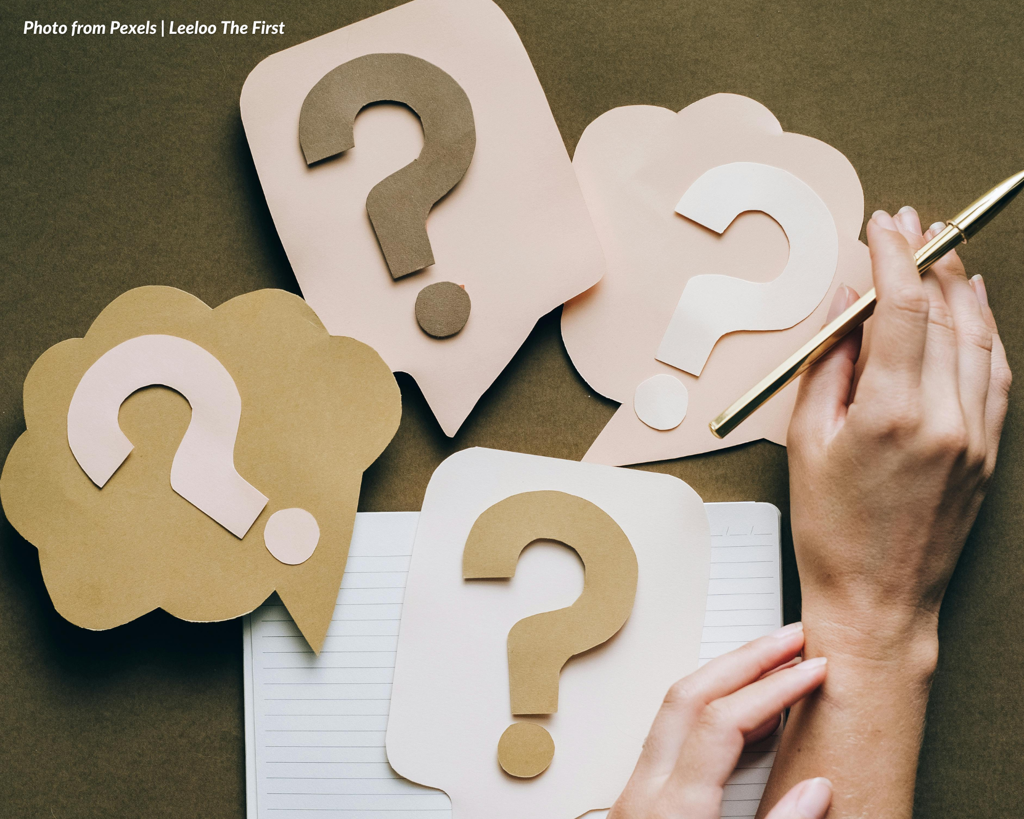 Searching Inquiry