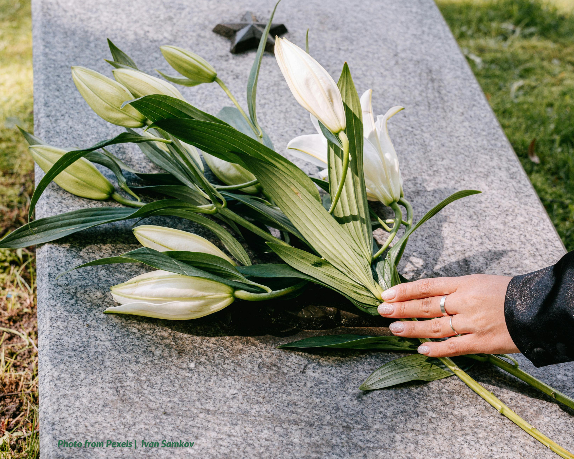 Special Power of Attorney Ends Upon Death of Principal