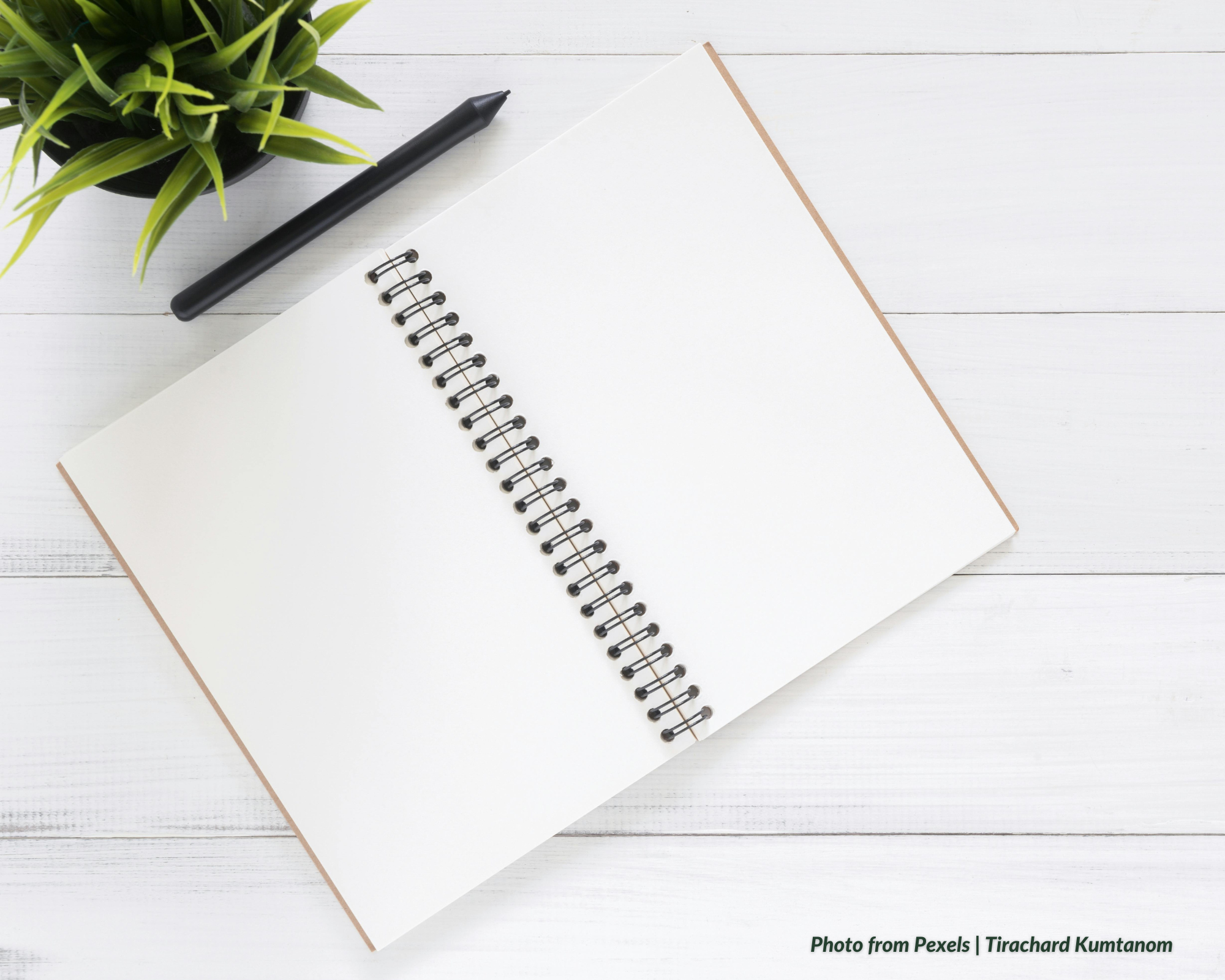 How to register your sole proprietorship with the DTI