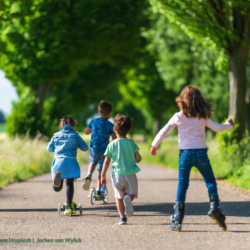 Hereditary Rights of an Illegitimate Child