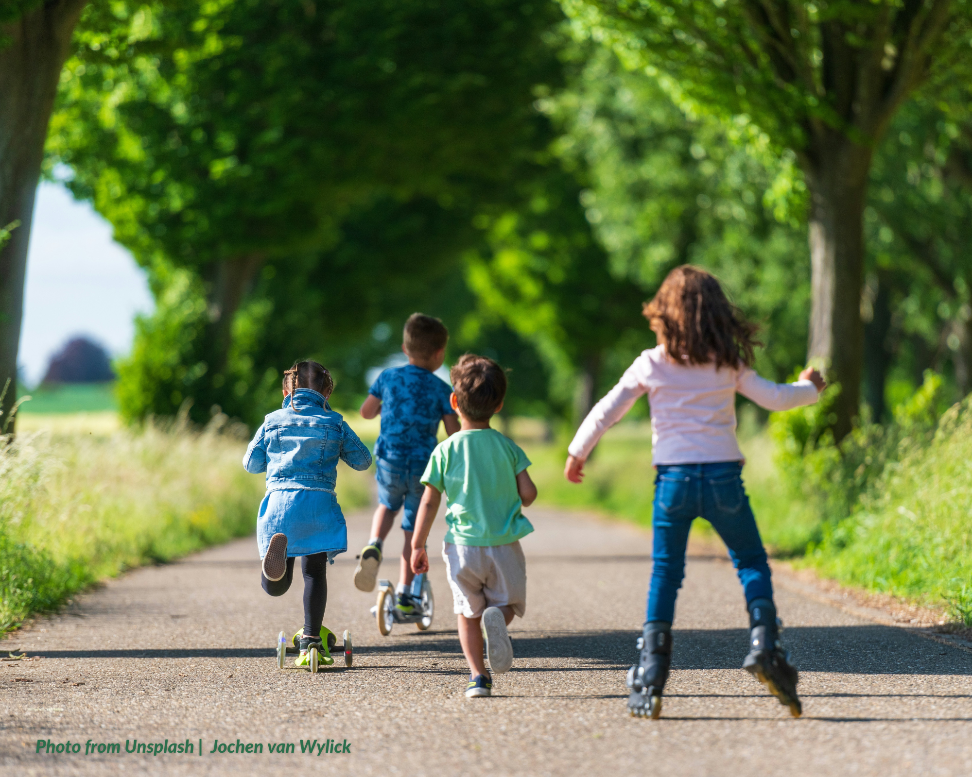 Hereditary Rights of an Illegitimate Child