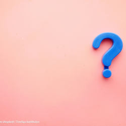 Questions of law vs Questions of fact