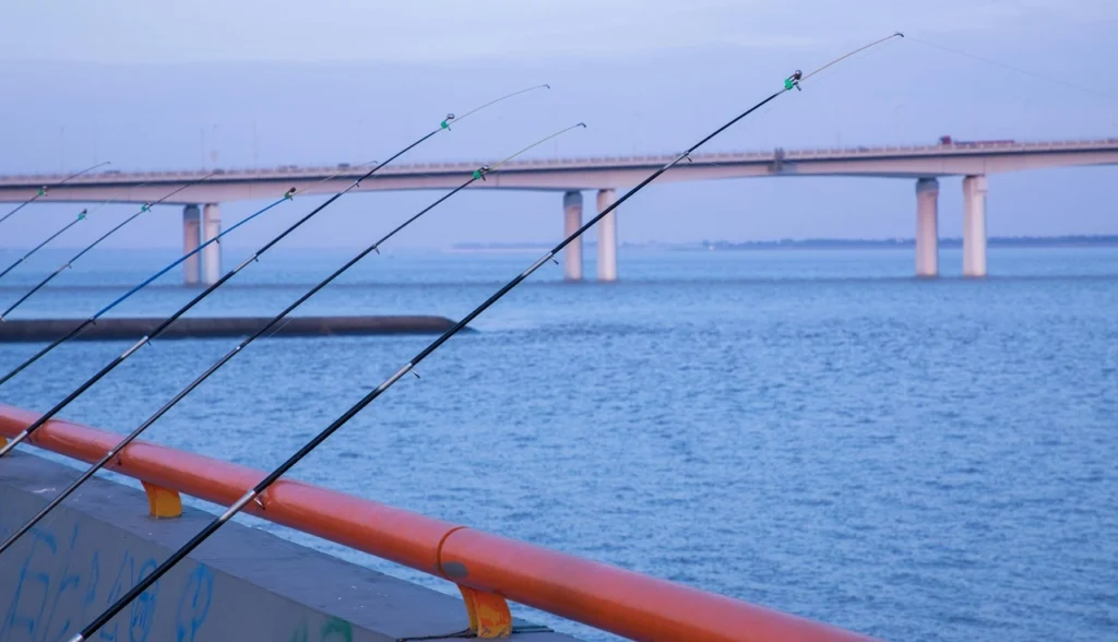 Fishing Privileges in Municipal Waters