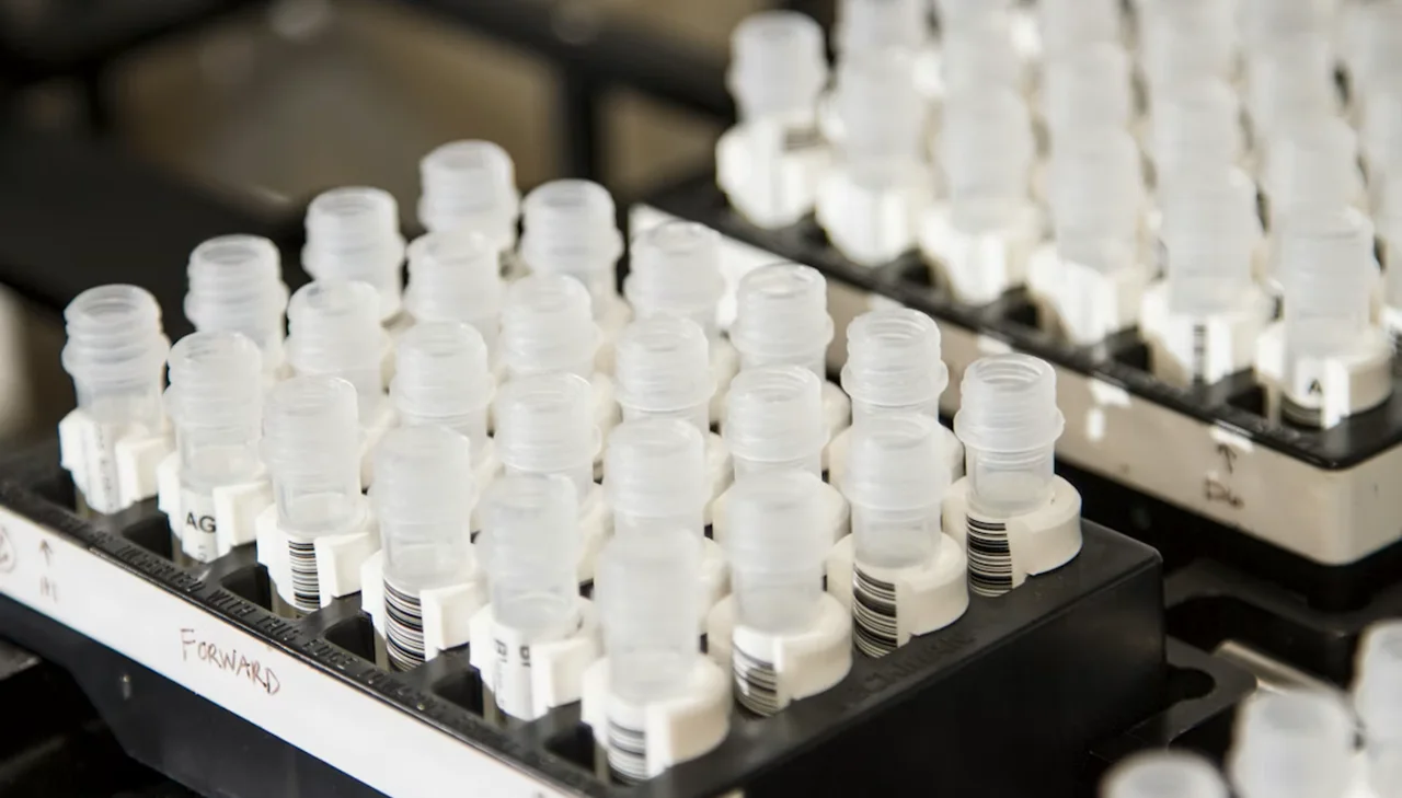 Is Refusal to Undergo Drug Testing a Valid Ground for Termination?
